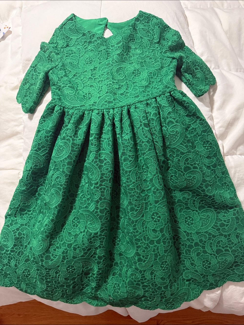 Janie and Jack Green Lace Party Dress